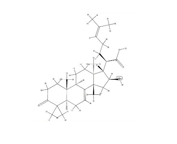 苦楝酸|50656-67-2