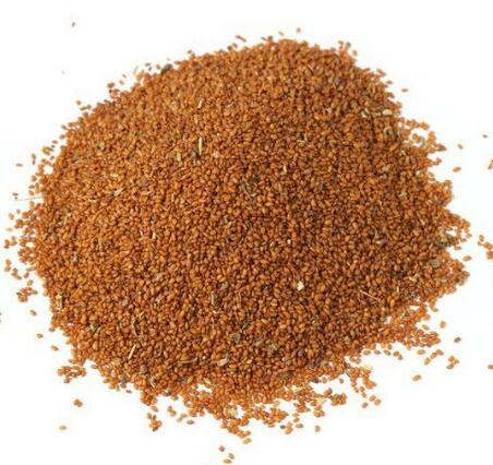 葶藶子(播娘蒿) DESCURAINIAE SEMEN