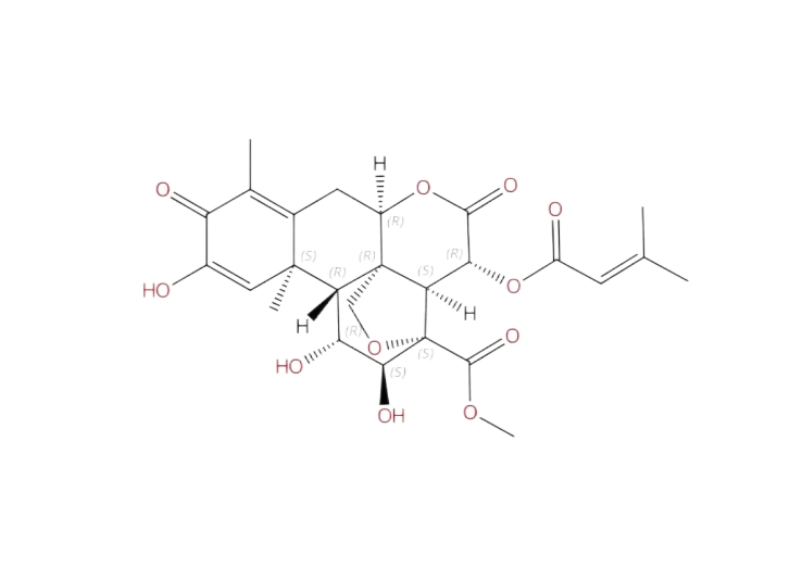 去氫鴉膽子苦醇|99132-98-6